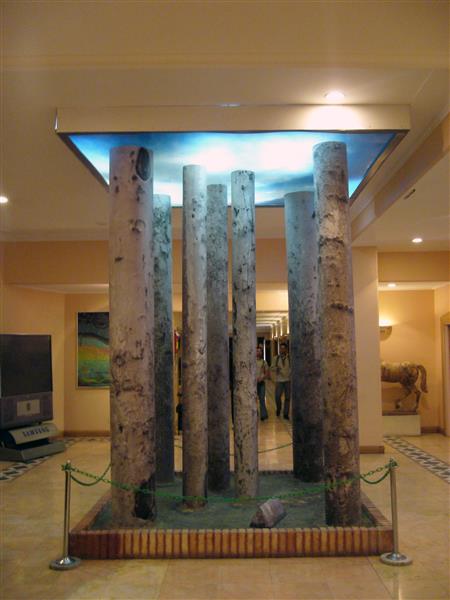 Installation of Seven Sycamore - Аббас Киаростами