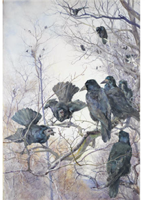 A Murder of Crows - Mildred Anne Butler