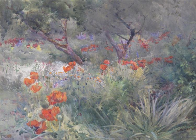 Oriental Poppies - Mildred Anne Butler