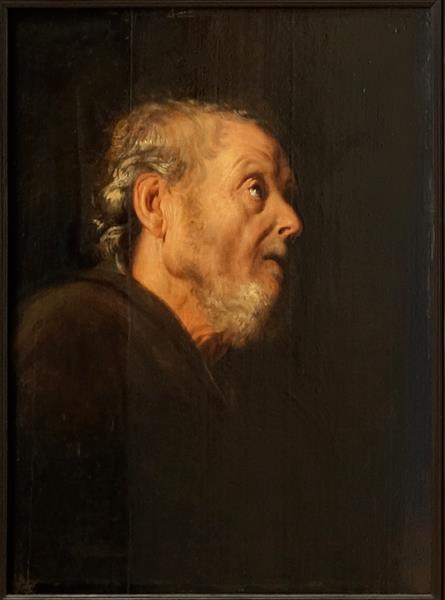 Old man's head - Jan Lievens