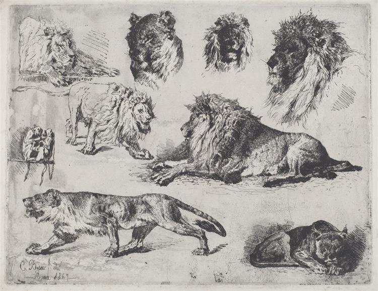 Study of Lions, 1867 - Чезаре Бізео