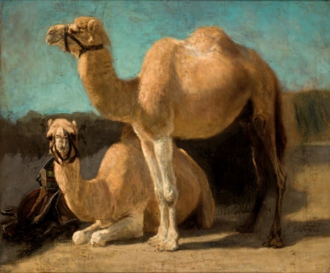 Dwa Wielbłądy, 1854 - Henryk Rodakowski