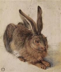 A Young Hare (after Durer) - Hans Hoffmann