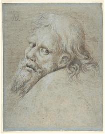 Head of a Bearded Man - Hans Hoffmann