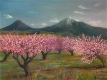 Весна Араратской долины - Vlad Avanesov
