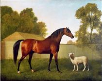 Dungannon, the Property of Colonel OKelly, Painted in a Paddock with a Sheep - George Stubbs