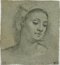Face of a Woman - Sebastiano del Piombo