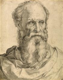 Head and Shoulders of a Bearded Man - Francesco de' Rossi (Francesco Salviati), "Cecchino"