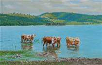 Cows on Vlasina Lake - Goran Vojinovic