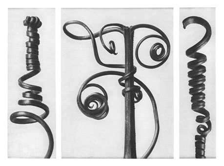 Art Forms in Nature 53, 1928 - Karl Blossfeldt