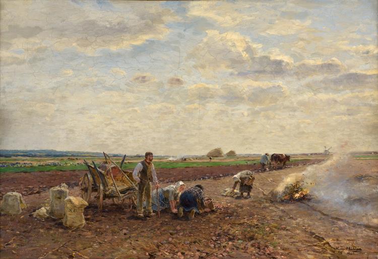 Potato harvest on the Lower Rhine - Hugo Mühlig