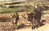 Ploughing the Field, Nazareth - Karimeh Abbud