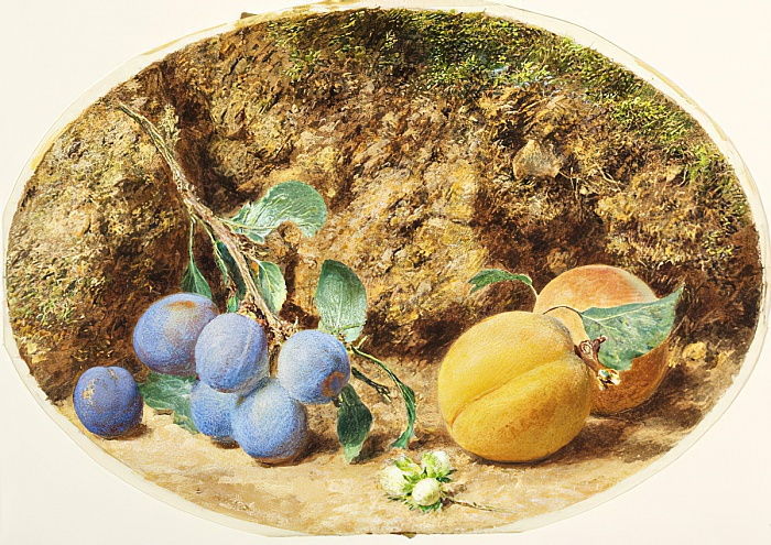 Apricots and woodnuts, c.1860 - Уильям Генри Хант