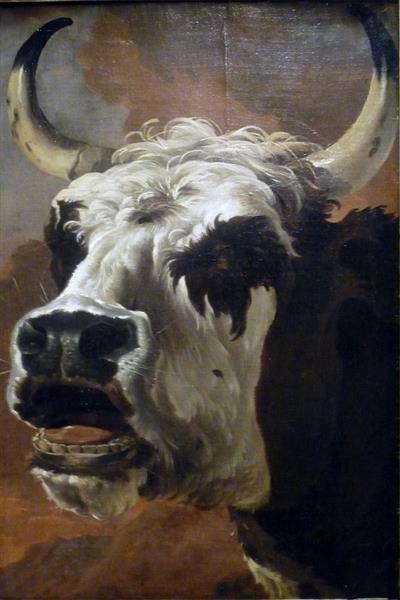 Head of beef, c.1647 - Ян Асселейн