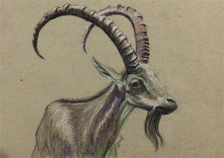 Nubian Ibex, 2021 - Iman Shaggag