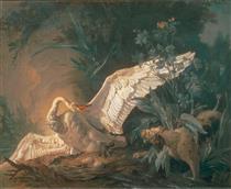 Barbet dog attacking a swan in its nest - Jean-Baptiste Oudry