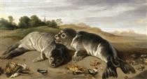 Two young seals on a beach - Paul de Vos