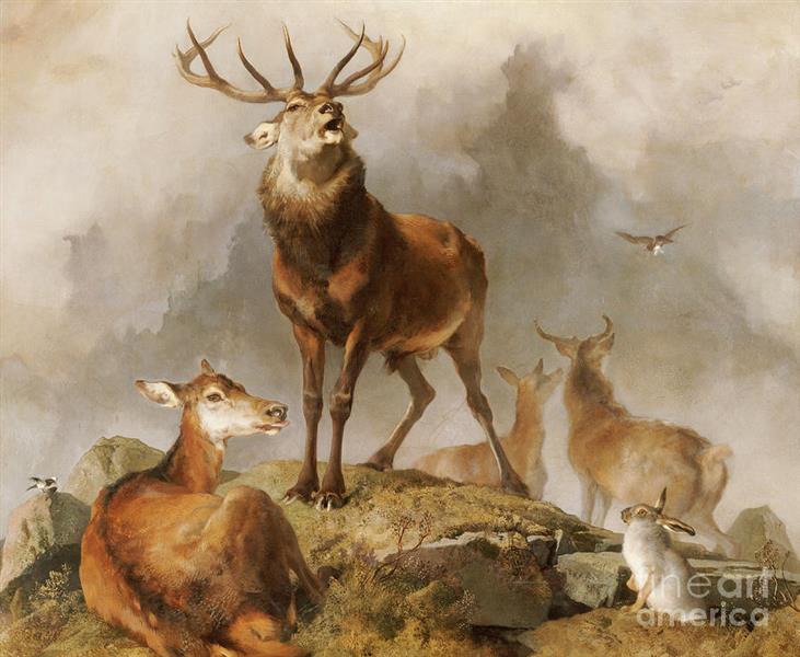 Scene in Braemar Highland Deer - Edwin Henry Landseer