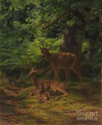 Deer in Repose - Роза Бонер