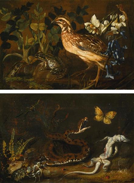 Still life of a forest floor; Still life with a european quail - Paolo Porpora