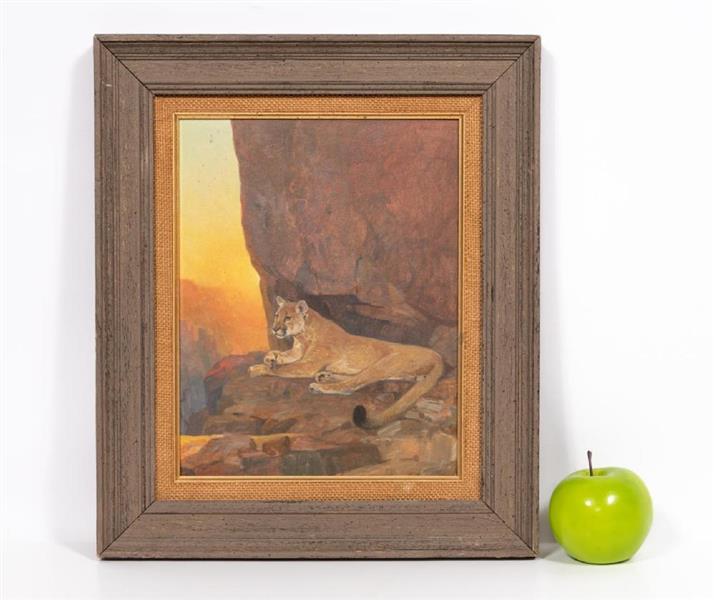 Mountain lion in a rocky landscape - Douglas Allen