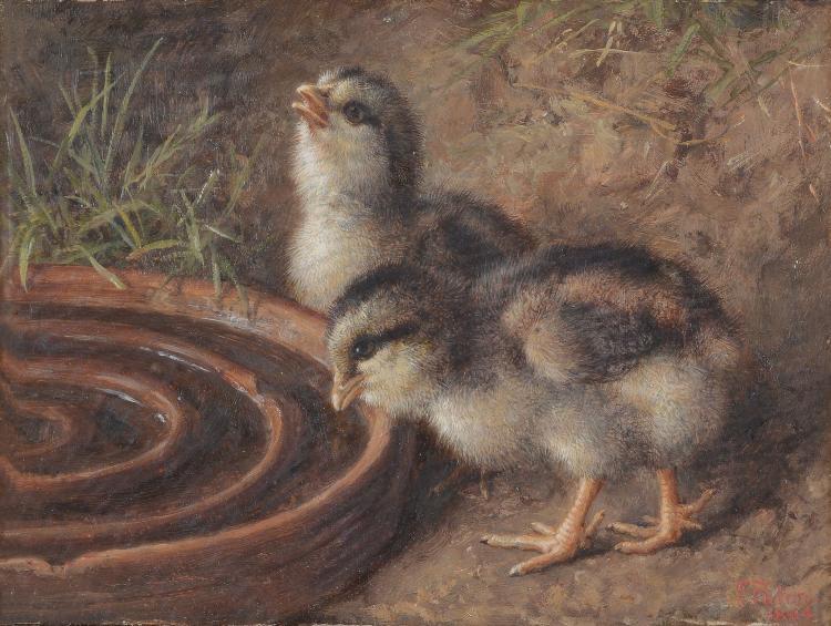 Chicks at waterbowl - Frank Paton