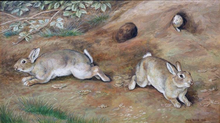 Rabbits - Frank Paton