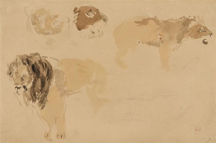 Study of lions - Ежен Делакруа