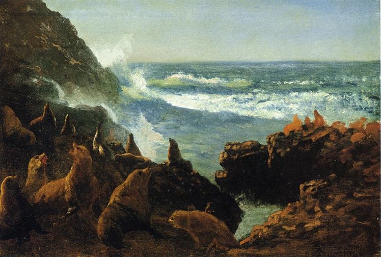 Sea Lions, Farallon Islands - Albert Bierstadt