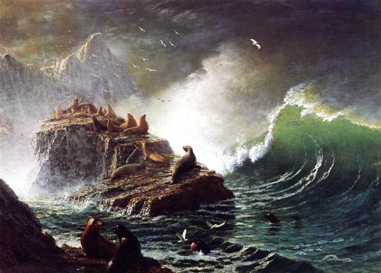Seals on the Rocks, Farallon Islands, c.1872 - c.1873 - Альберт Бирштадт