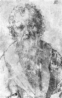 Бородатый мужчина - Альбрехт Дюрер