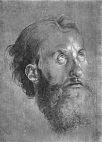 Head of an Apostle Looking Upward - Albrecht Durer