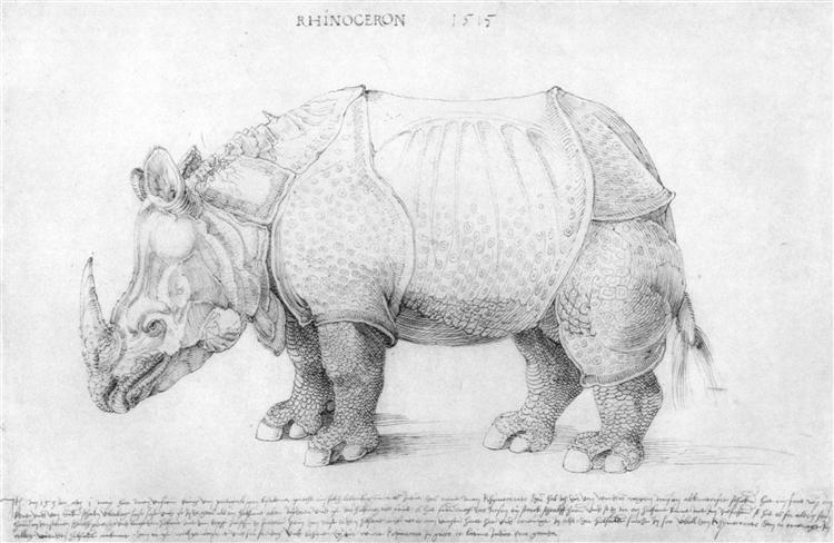 Rhinoceros, 1515 - Альбрехт Дюрер