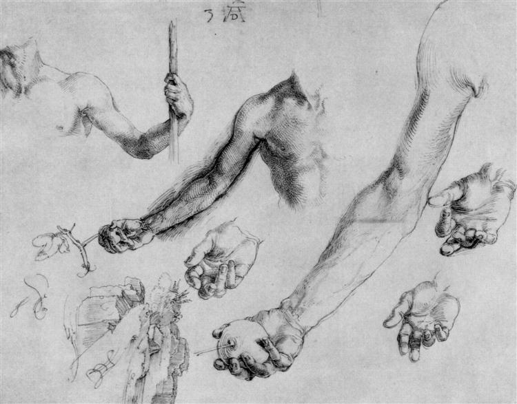 Study of male hands and arms, 1504 - Alberto Durero