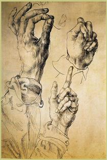 Study of Three Hands - Albrecht Durer
