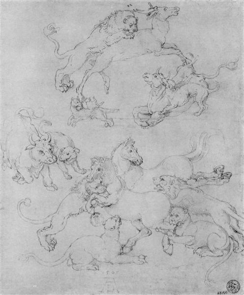 Study sheet with the attacked animals - Albrecht Durer