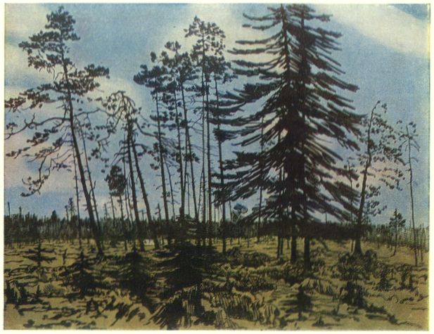 Finland with a blue sky, 1910 - Anna Ostroumova-Lebedeva