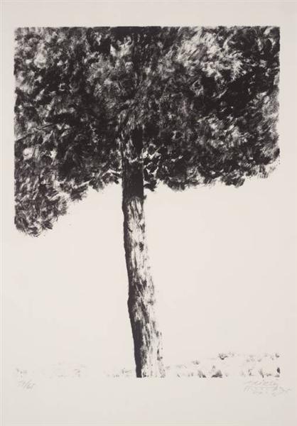Jerusalem Pine, 1975 - Avigdor Arikha