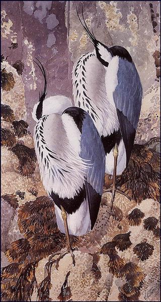 Grey Herons - Charles Tunnicliffe