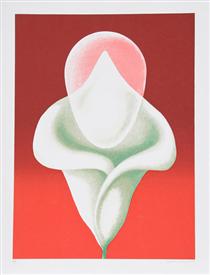 Abstract Tulip - Clarence Holbrook Carter