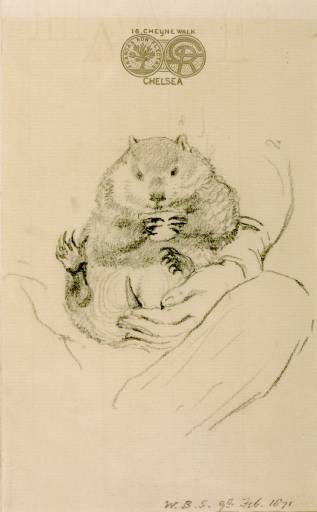 Image of artist and his exotic pet, 1871 - Данте Габриэль Россетти