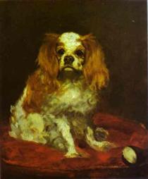 A King Charles Spaniel - Édouard Manet