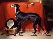 Eos, A Favorite Greyhound of Prince Albert - Edwin Henry Landseer