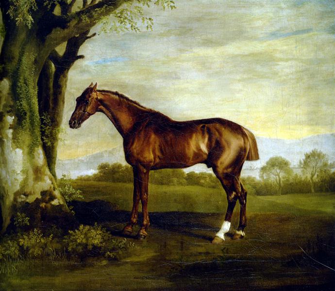 A Chestnut Racehorse - Джордж Стаббс