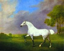 A Grey Horse - Джордж Стаббс