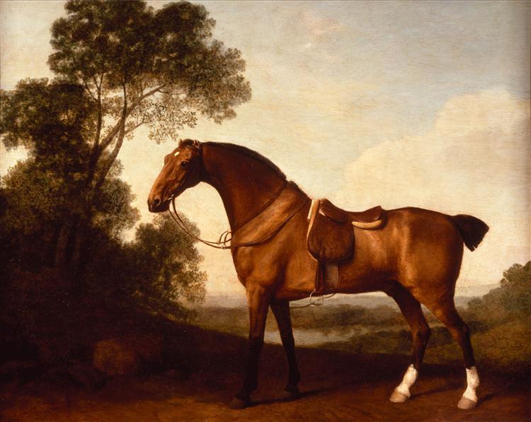A Saddled Bay Hunter, 1786 - George Stubbs