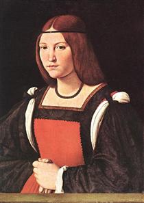 Portrait of a Young Woman - Giovanni Antonio Boltraffio