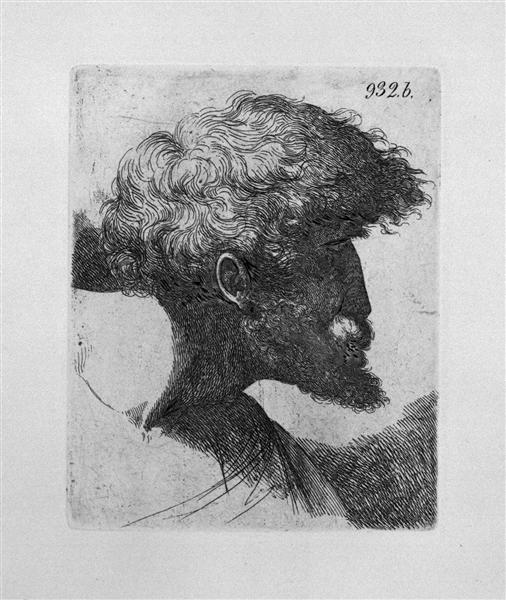Old man`s head in profile - Giovanni Battista Piranesi