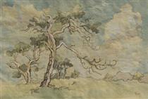 Trees in a landscape - Gregoire Boonzaier