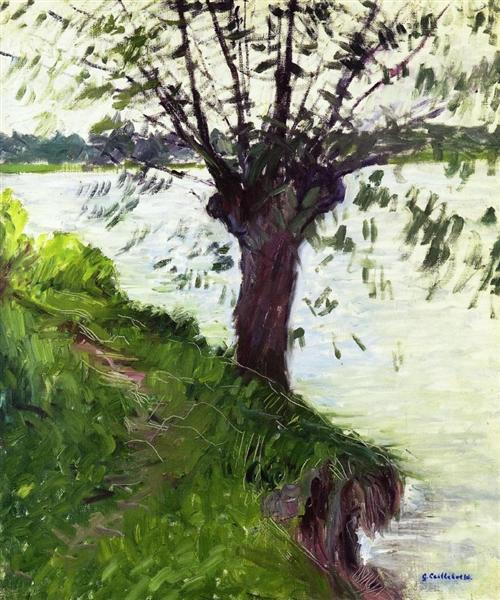 Willow on the Banks of the Seine, 1891 - Ґюстав Кайботт
